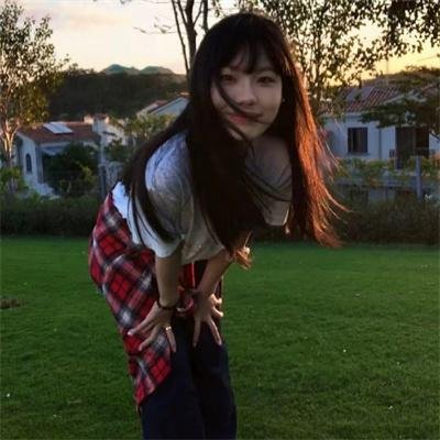 野探哈莉第四季